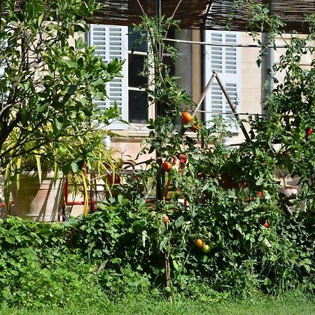 Les Passiflores Grasse Exterior photo