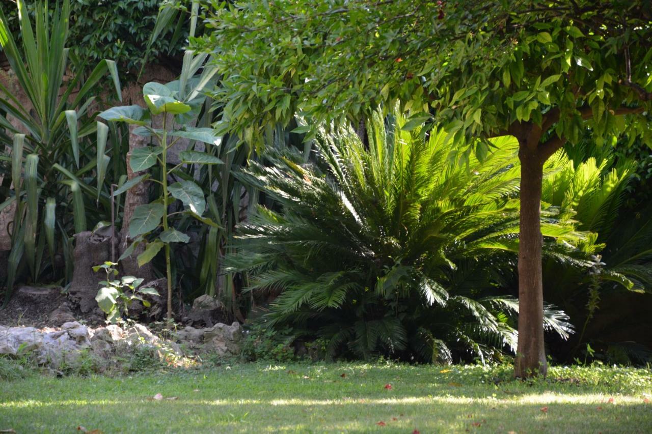 Les Passiflores Grasse Exterior photo